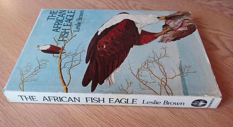 The African Fish Eagle