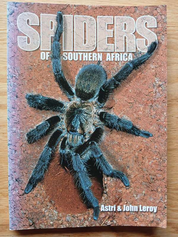 Spiders of Southern Africa