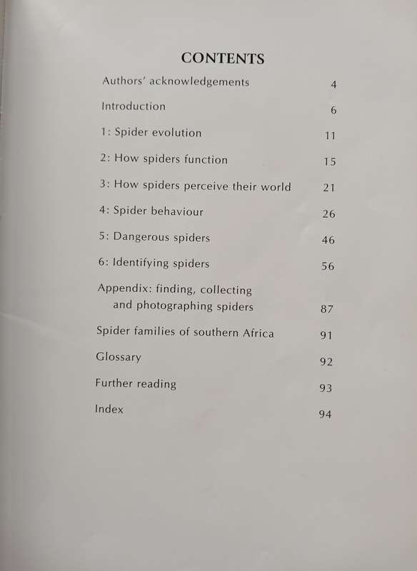 Spiders of Southern Africa