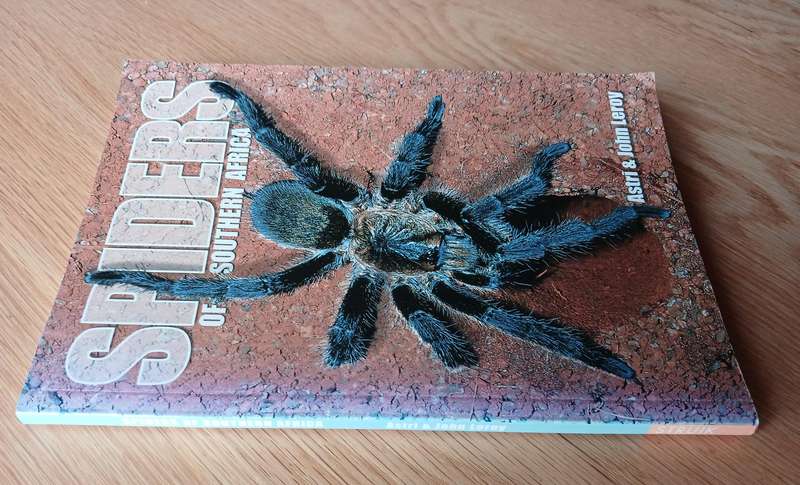 Spiders of Southern Africa