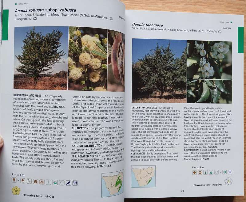 Creative Gardening with Indigenous Plants - A South African Guide