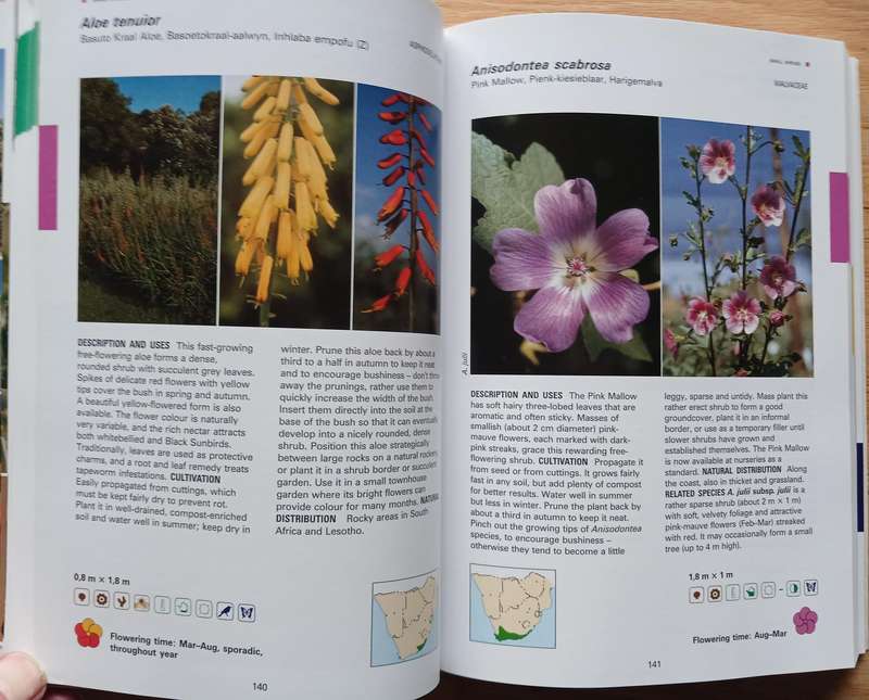 Creative Gardening with Indigenous Plants - A South African Guide