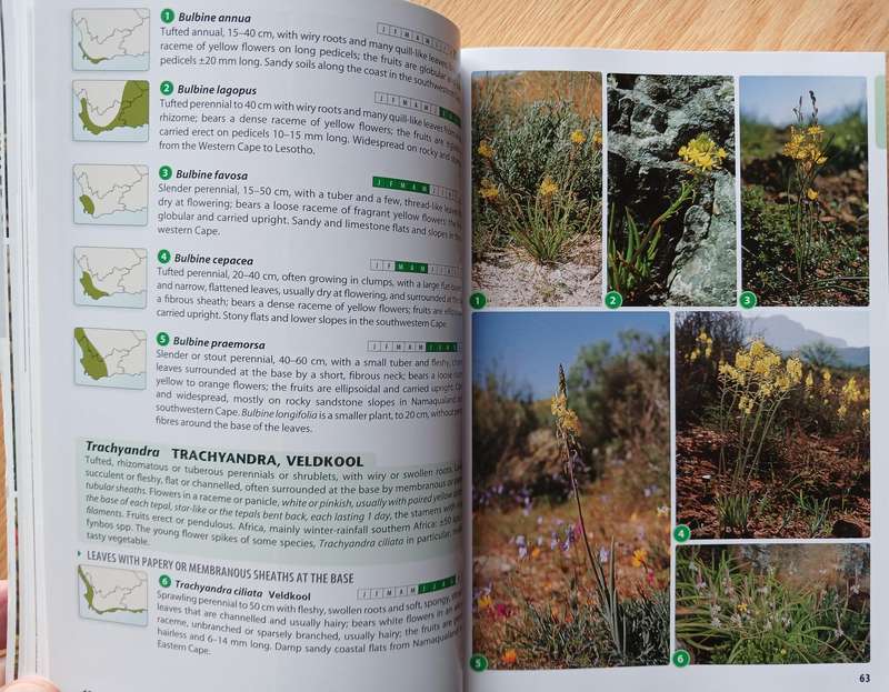 Field Guide to Fynbos