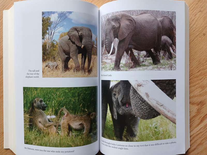 Elephant Dawn - the inspirational story of 13 years living with elephants in the African wilderness