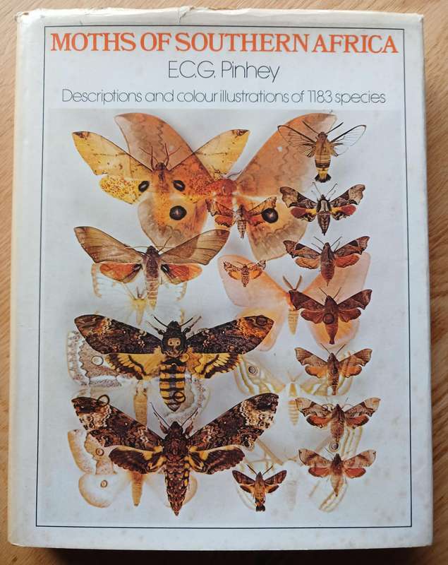Moths of Southern Africa by E.C.G. Pinhey