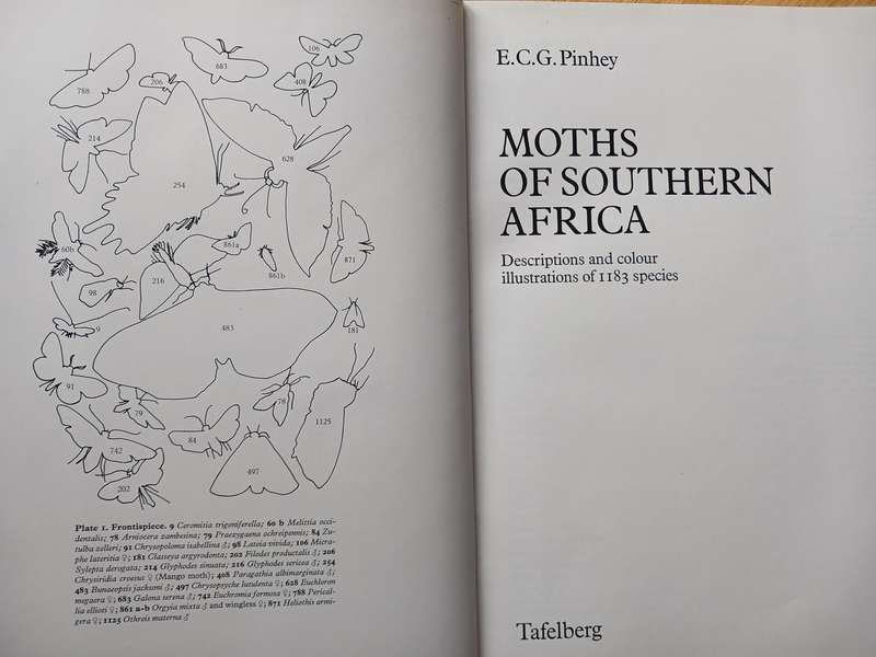 Moths of Southern Africa by E.C.G. Pinhey