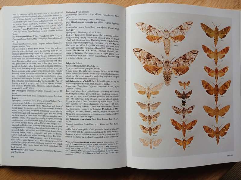 Moths of Southern Africa by E.C.G. Pinhey