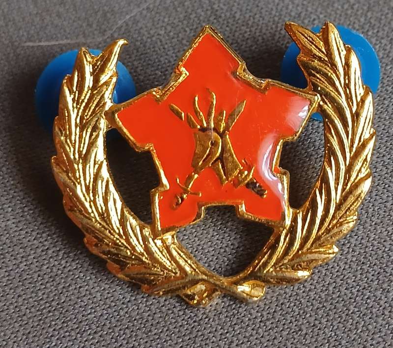 Set of SANDF Medals for KPL Lem Bergsma: 3 x sets of full and miniature medals and others