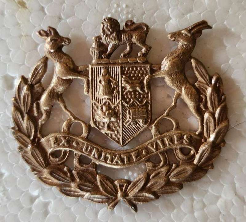 SA Ex Unitate Vired Army Badge