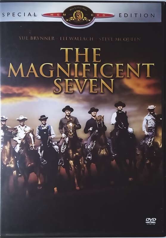 THE MAGNIFICENT SEVEN DVD