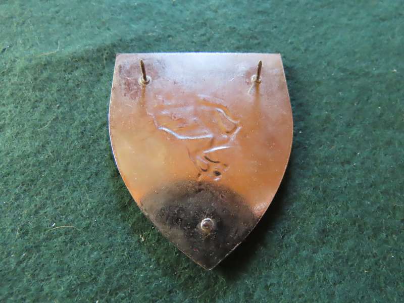 South West Africa - Border War - 201 Battalion Shoulder Flash