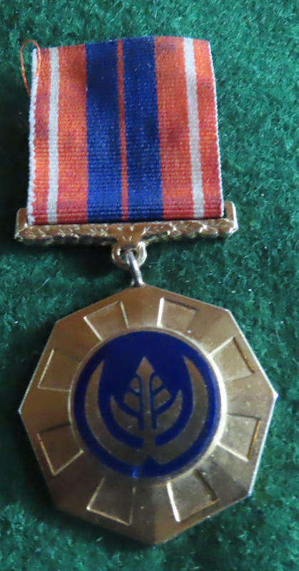South Africa - Pro Patria Medal - Link Suspender - # 14656 - Type 1