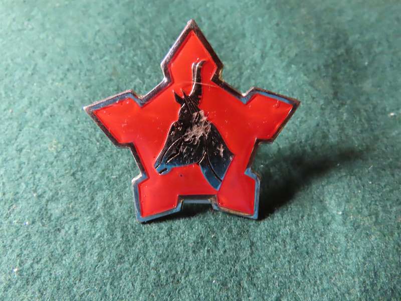 South Africa - South African Defence Force -Warrant Officer of The Army and WOII's - 1st Type