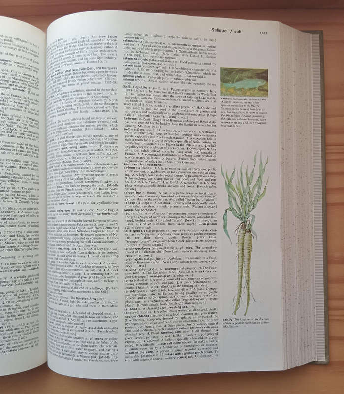 Reader's Digest Great Illustrated Dictionary,  A-Z