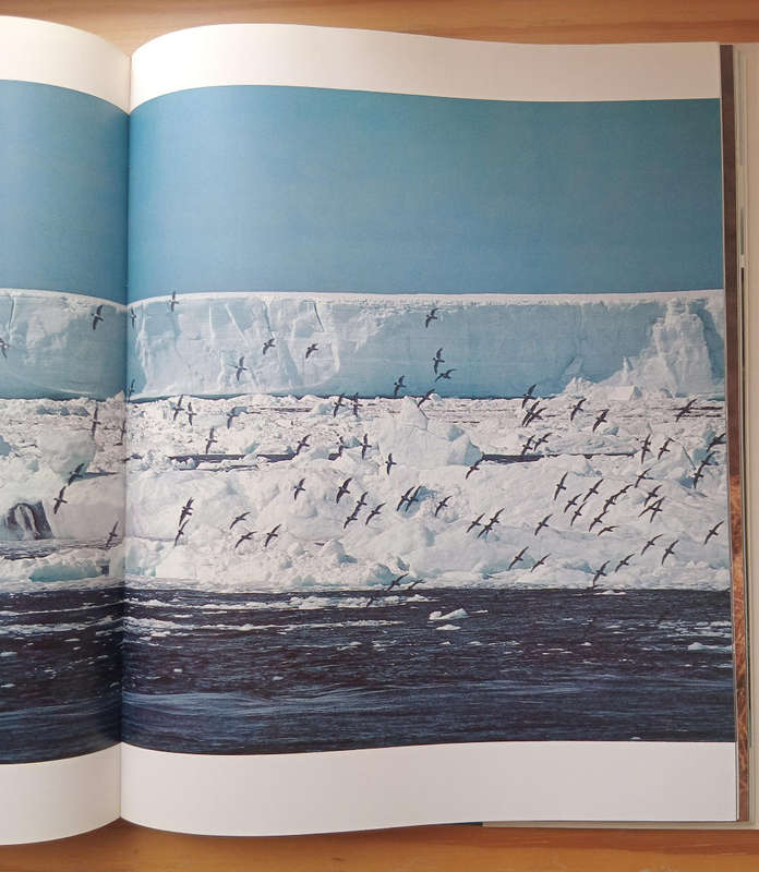 Antarctica- Peter Johnson