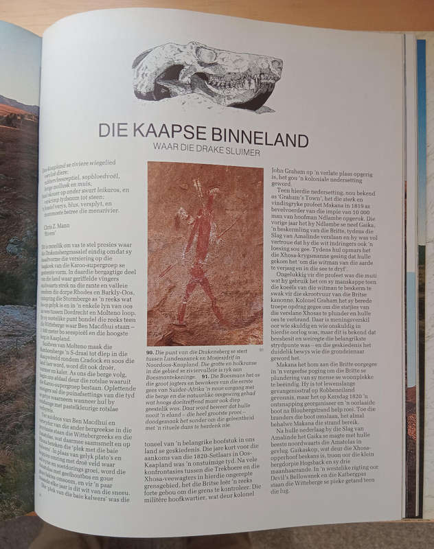 Berge van Suider-Afrika- David Bristow