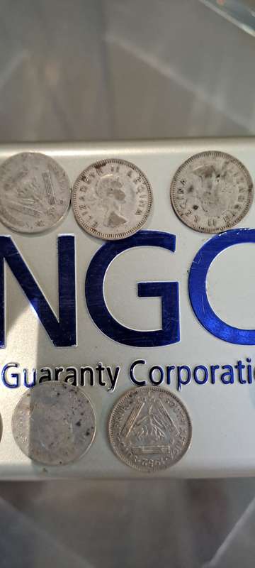 Silver Coins x 31 ( 64.3 grams)