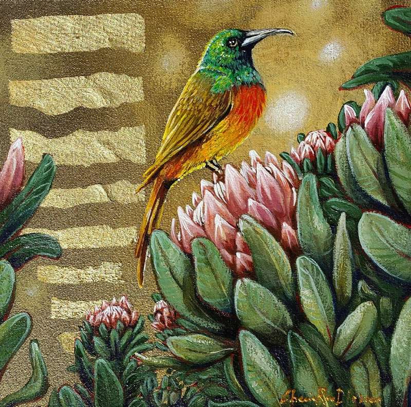 Beautiful 'SUNBIRD ON PINK PROTEAS` Original Painting on Boxed Canvas by Cherie Roe Dirksen - ART