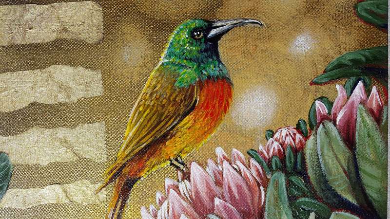 Beautiful 'SUNBIRD ON PINK PROTEAS` Original Painting on Boxed Canvas by Cherie Roe Dirksen - ART