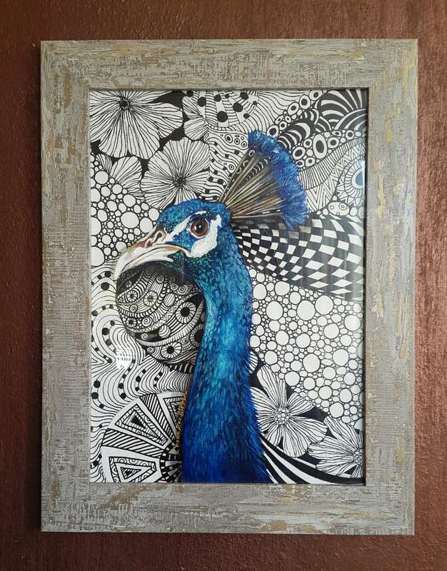 Original Framed ACRYLIC and INK Peacock Painting by South African Artist, Cherie Roe Dirksen