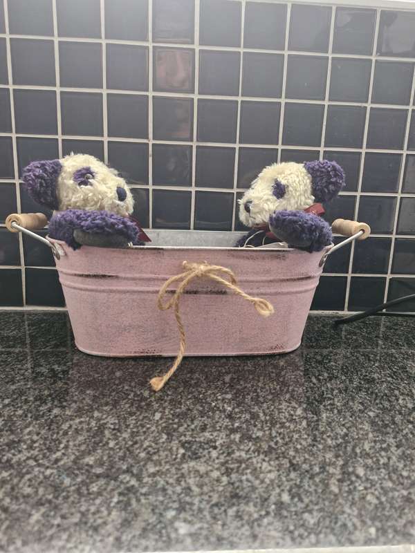 COLLECTORS VINTAGE BOYDS PANDA BEARS - OGDEN IN METAL TUB