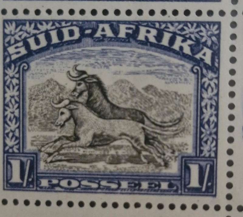 Stunning 1933 vertical pair of Mint 1 Shilling Stamps with Cylinder block numbers - South Africa