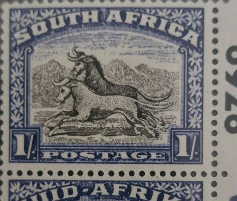 Stunning 1933 vertical pair of Mint 1 Shilling Stamps with Cylinder block numbers - South Africa
