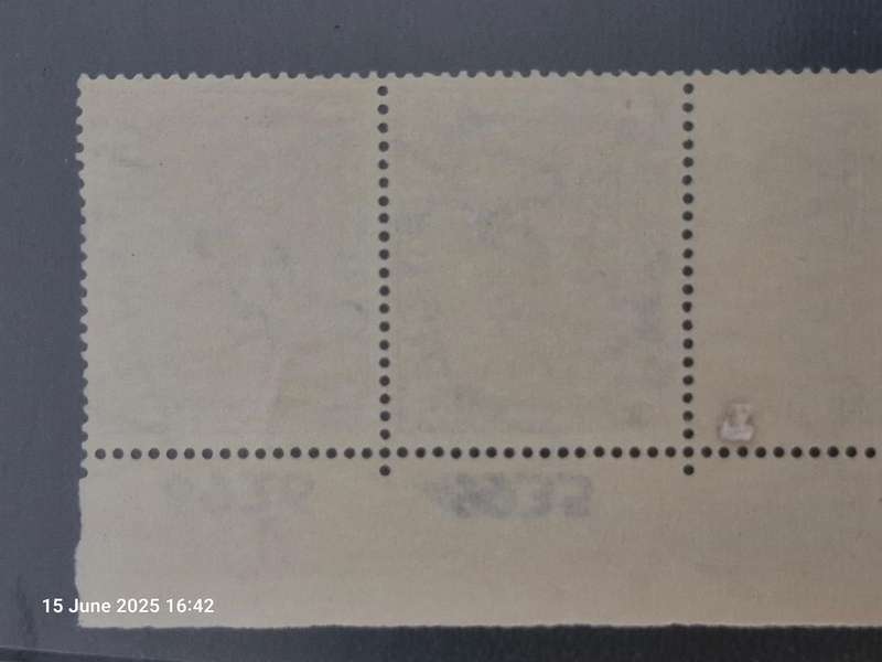 Stunning 1933 vertical pair of Mint 1 Shilling Stamps with Cylinder block numbers - South Africa