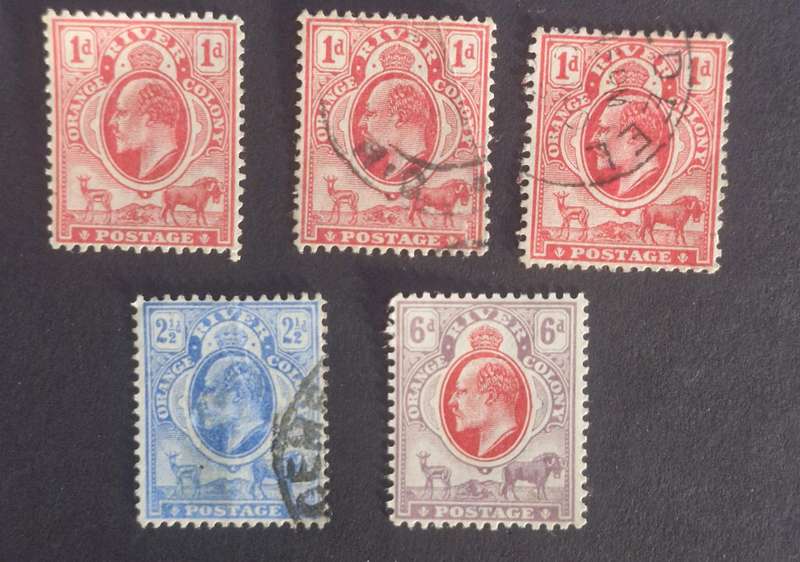 SELECTION OF 5 ORANGE RIVER COLONY STAMPS INCLUDING MINT 6D.