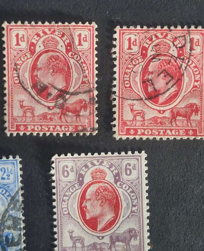 SELECTION OF 5 ORANGE RIVER COLONY STAMPS INCLUDING MINT 6D.