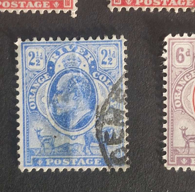 SELECTION OF 5 ORANGE RIVER COLONY STAMPS INCLUDING MINT 6D.