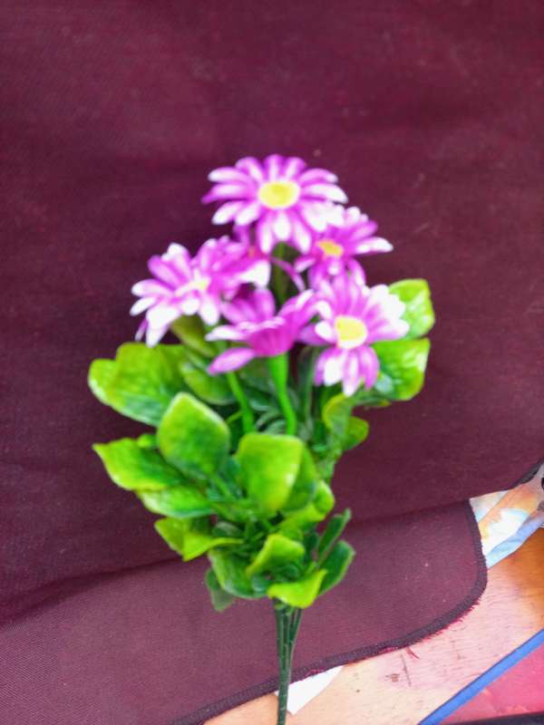 PLASTIC FLOWERS--- DAISIES