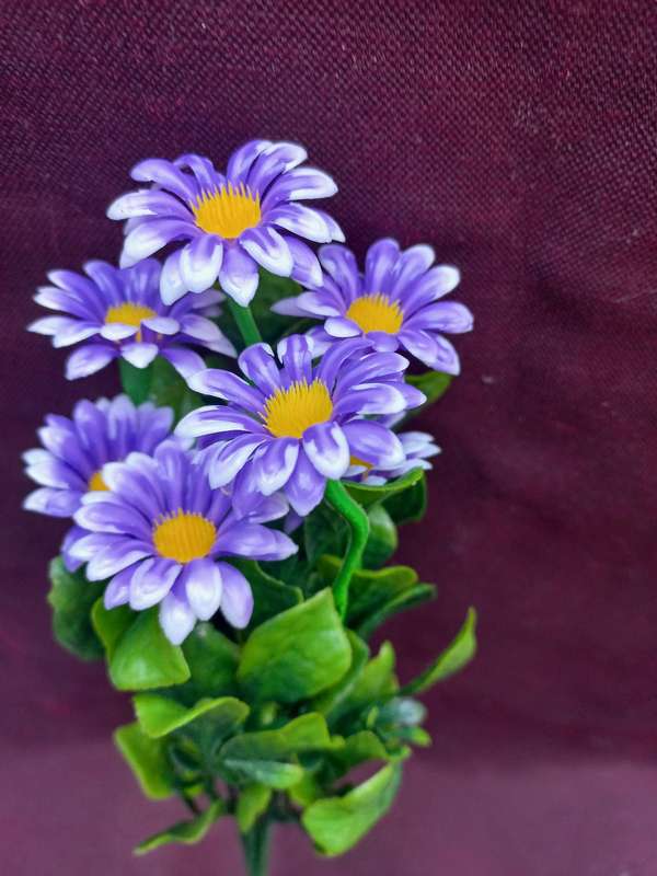 PLASTIC FLOWERS--- DAISIES