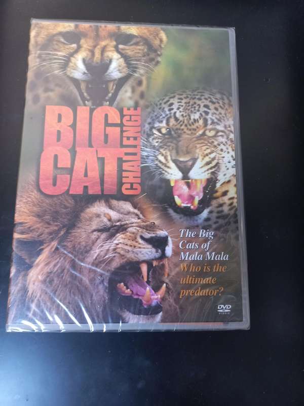 BIG CAT CHALLENGE