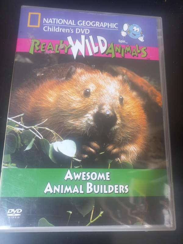 NATIONAL GEOGRAPHIC// REALLY WILD ANIMALS
