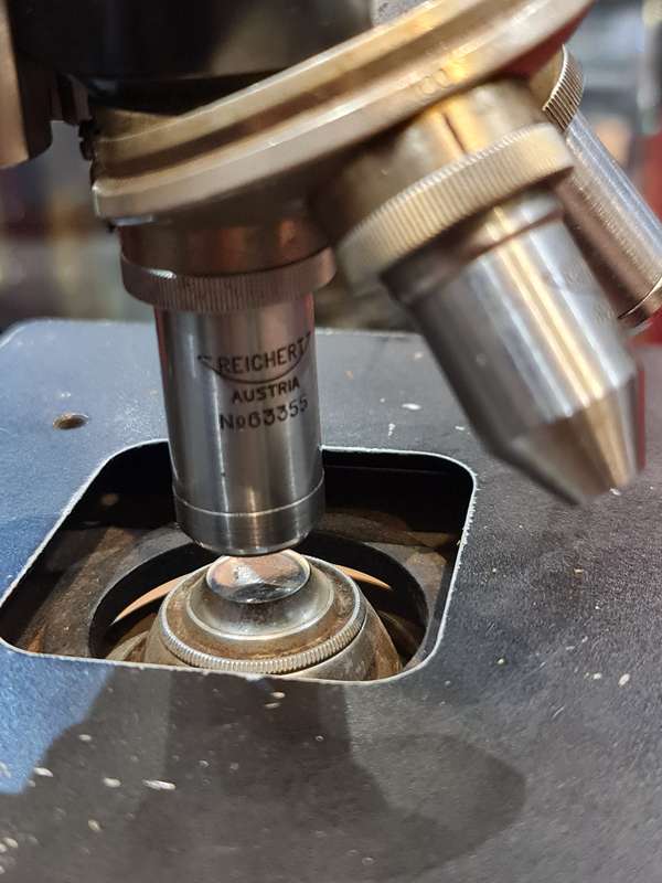Reichert Traveling Compound Microscope - Circa 1925