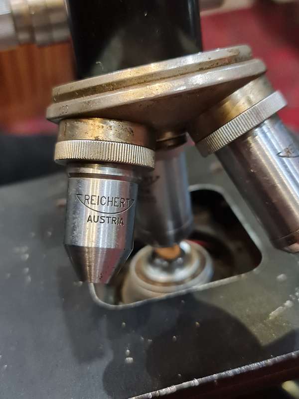 Reichert Traveling Compound Microscope - Circa 1925