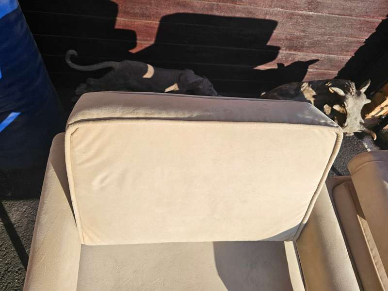 Designer Accent Modern Arm Chairs
