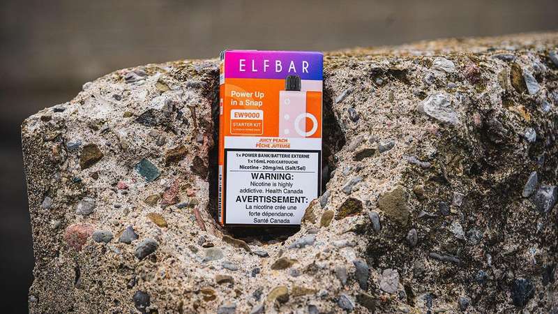 Elf Bar - EW9000 Disposable Vape Pod - 5% - Peach