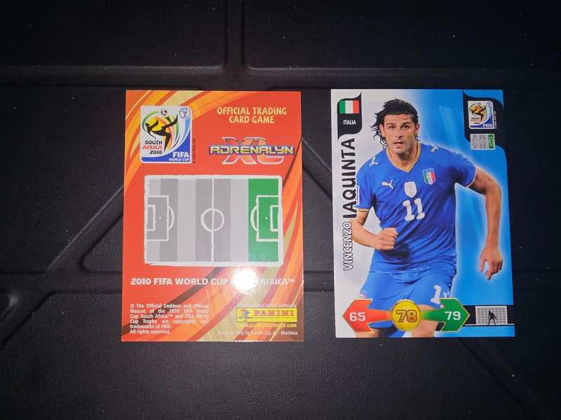 Panini Adrenalyn XL 2010 FIFA WORLD CUP SOUTH AFRICA - 208 - Vincenzo IAQUINTA