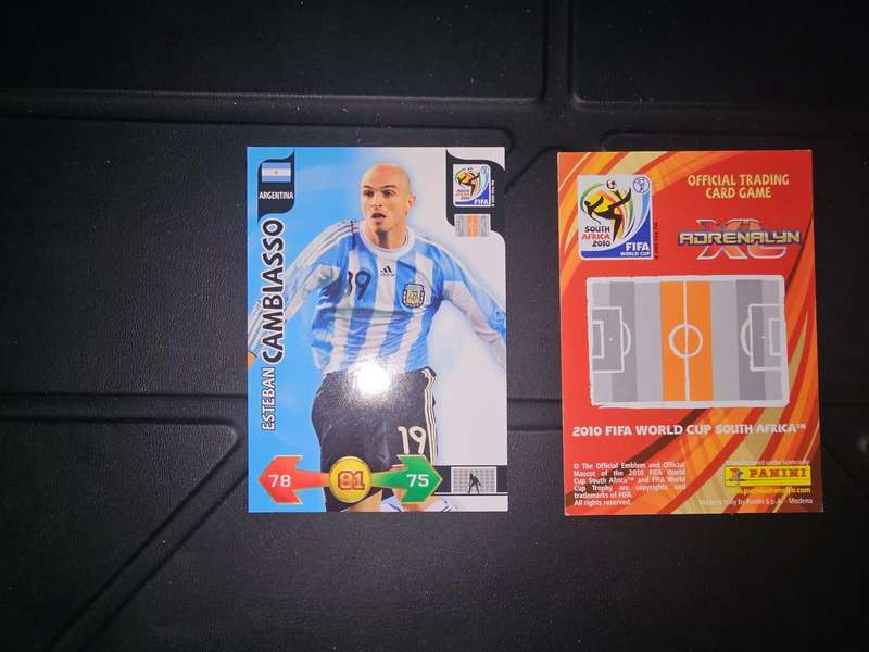 Panini Adrenalyn XL 2010 FIFA WORLD CUP SOUTH AFRICA - 13 - Esteban Cambiasso