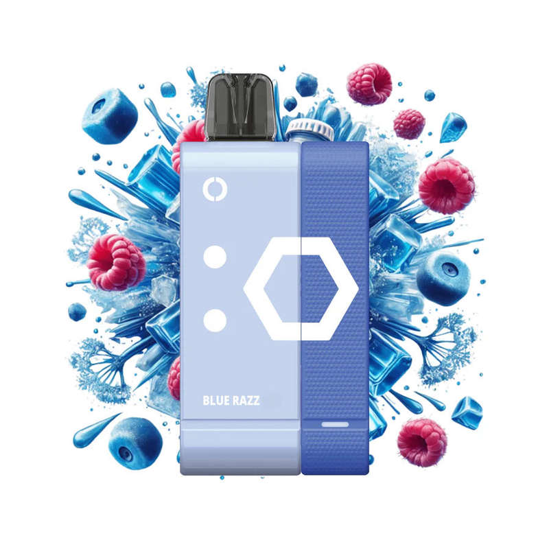 Elf Bar - EW9000 Disposable Vape Kit - 5% - Blue Razz
