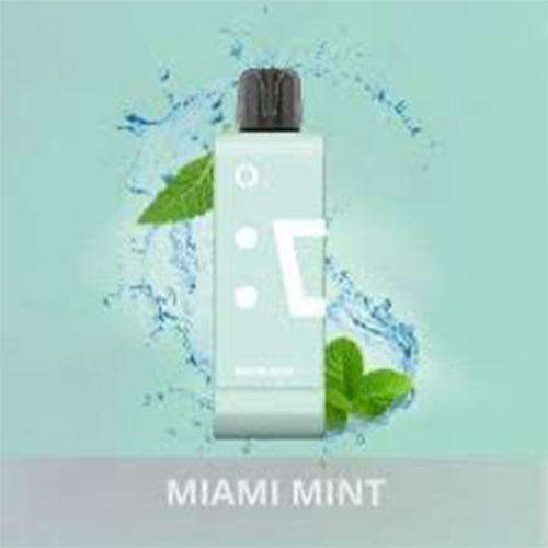 Elf Bar - EW9000 Disposable Vape Pod - 5% - Miami Mint