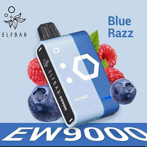 Elf Bar - EW9000 Disposable Vape Kit - 5% - Blue Razz