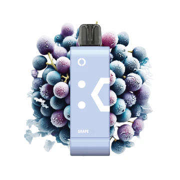 Elf Bar - EW9000 Disposable Vape Pod - 5% - Grape