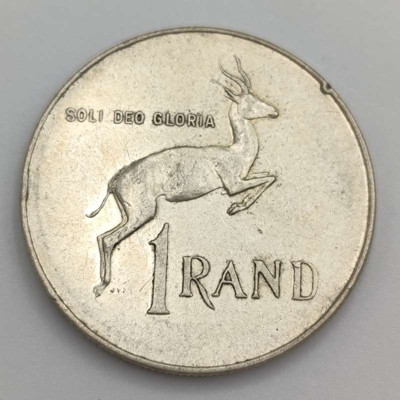 1966 South Africa pregnant Springbok - no penis