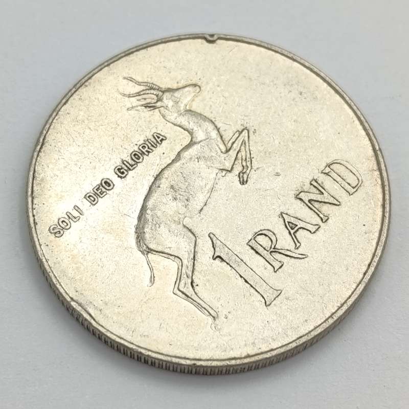 1966 South Africa pregnant Springbok - no penis