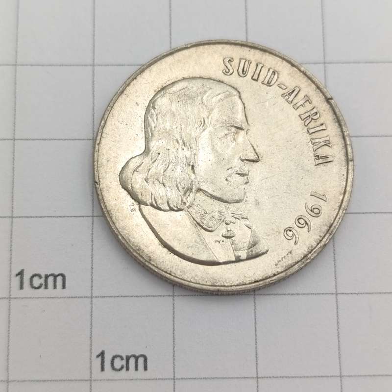 1966 South Africa pregnant Springbok - no penis