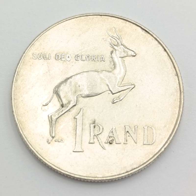 1966  South Africa pregnant springbok - no penis