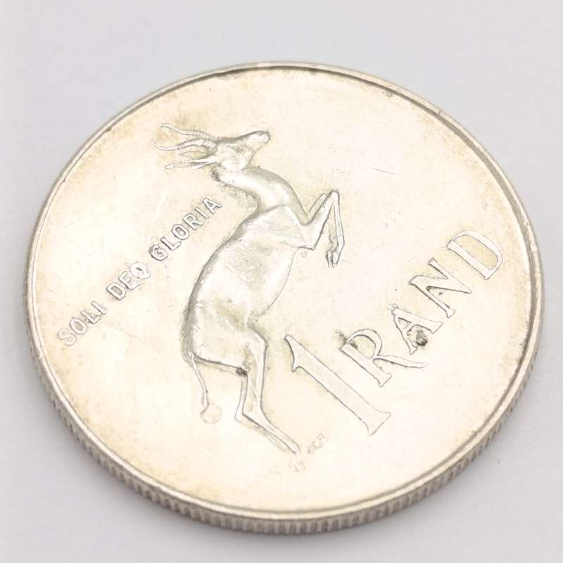 1966  South Africa pregnant springbok - no penis